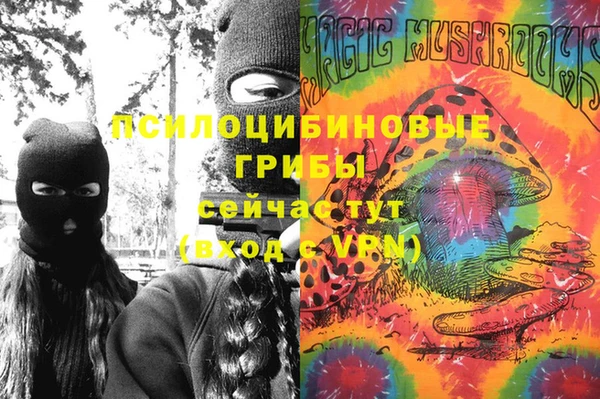 индика Алзамай