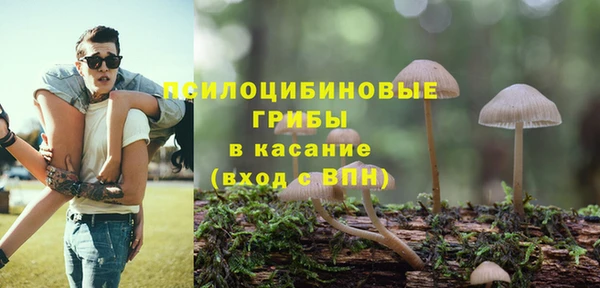 гидропоника Алексеевка